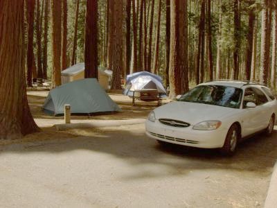 Lower Pines Site 65