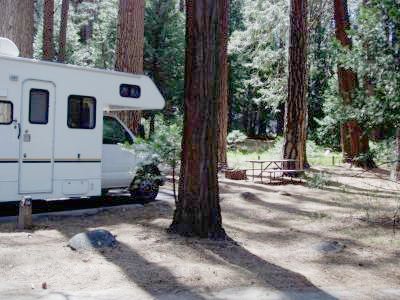 Lower Pines Site 70