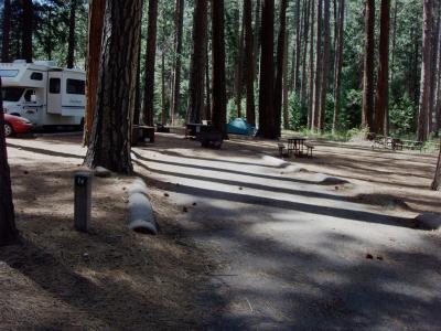 Lower Pines Site 74