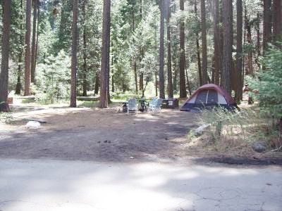 Lower Pines Site 8