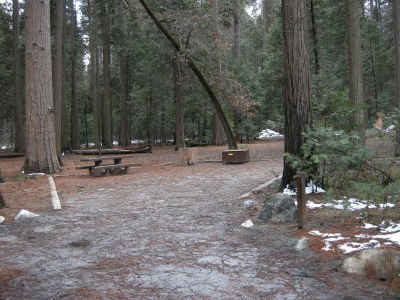 Lower Pines Site 0