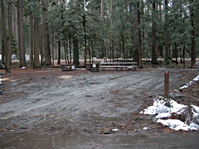 Lower Pines Site 0