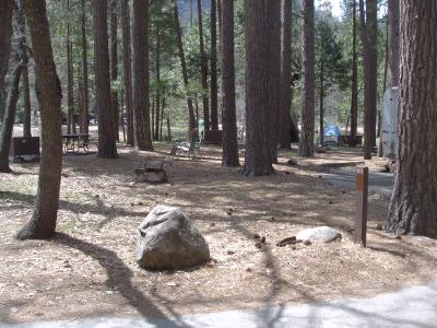 North Pines Campsite 101