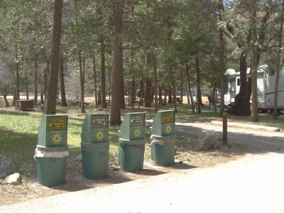 North Pines Campsite 109