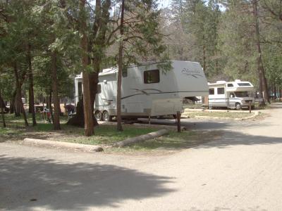 North Pines Campsite 111