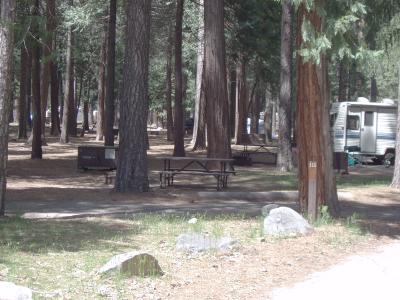 North Pines Campsite 115