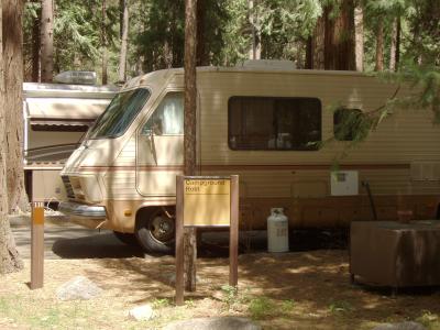 North Pines Campsite 116