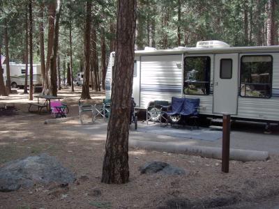 North Pines Campsite 119