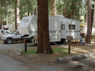 North Pines Campsite 120