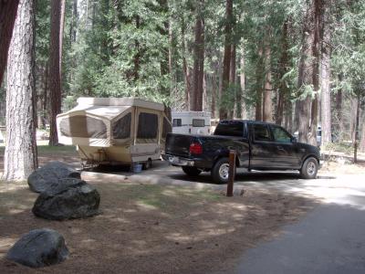 North Pines Campsite 129