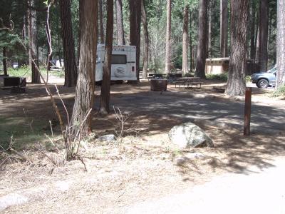 North Pines Campsite 131