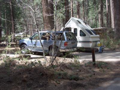 North Pines Campsite 135