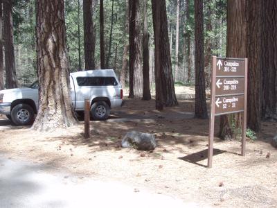 North Pines Campsite 136