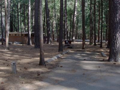 North Pines Campsite 160