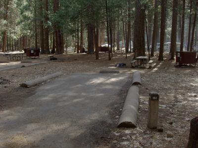 North Pines Campsite 161