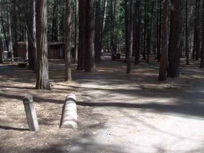 North Pines Campsite 162