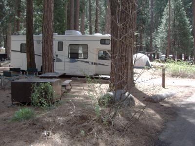 North Pines Campsite 201