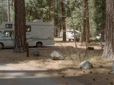 North Pines Campsite 204
