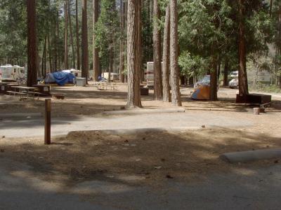North Pines Campsite 206