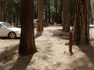 North Pines Campsite 207