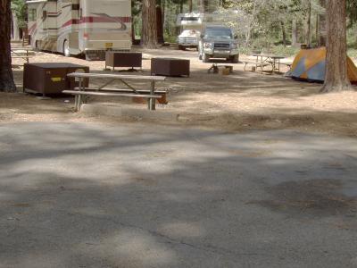 North Pines Campsite 208