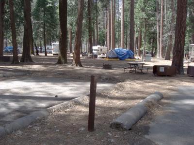 North Pines Campsite 210