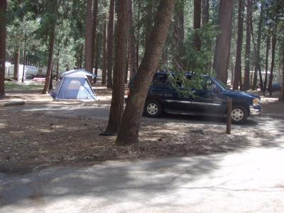 North Pines Campsite 213