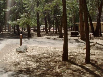 North Pines Campsite 214