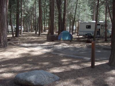 North Pines Campsite 217