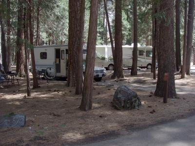 North Pines Campsite 219