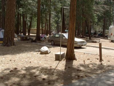 North Pines Campsite 315