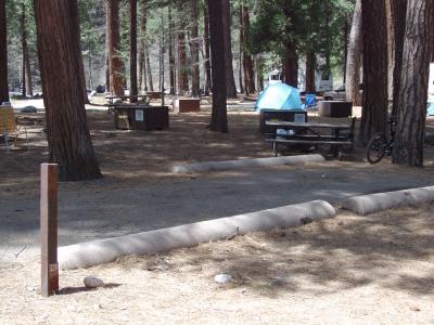 North Pines Campsite 320