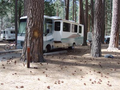 North Pines Campground -- Yosemite Valley Site 400