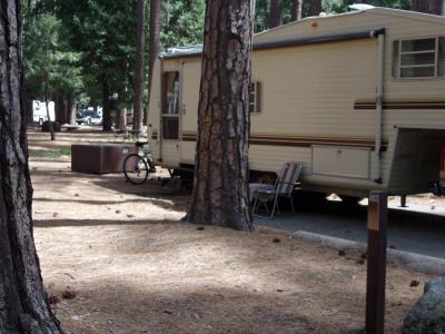 North Pines Campsite 403