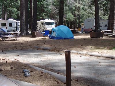 North Pines Campsite 405