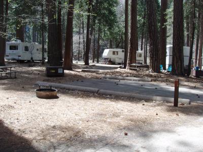 North Pines Campsite 501