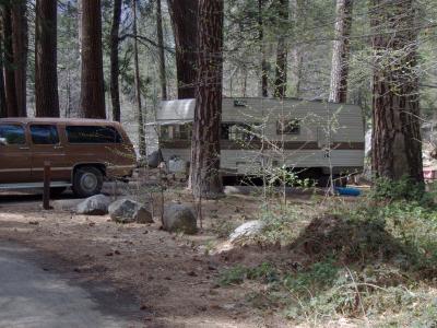 North Pines Campsite 502