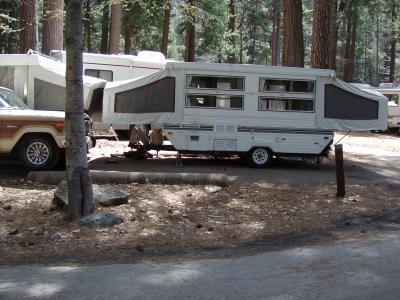 North Pines Campsite 503