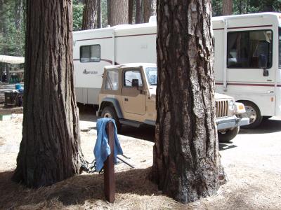 North Pines Campsite 505