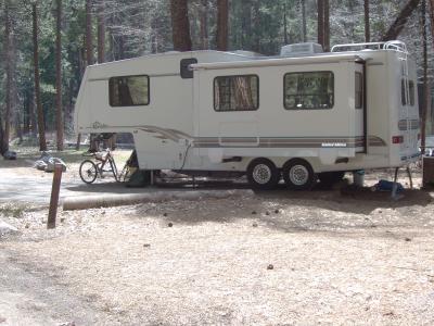 North Pines Campsite 506