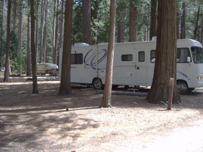 North Pines Campsite 509