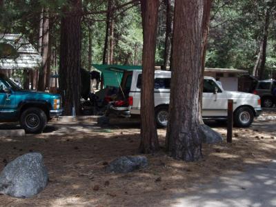 North Pines Campsite 517