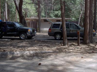 North Pines Campsite 519