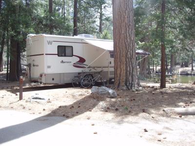 North Pines Campsite 522