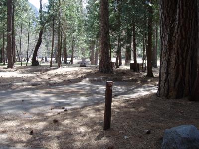 North Pines Campground -- Yosemite Valley Site 524
