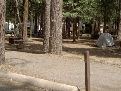 North Pines Campsite 527