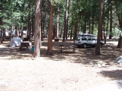 North Pines Campsite 529