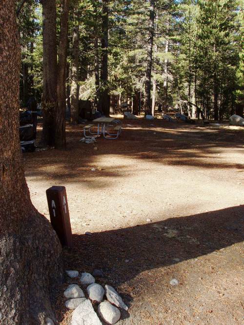 Tuoulumne Meadows Campground site a1