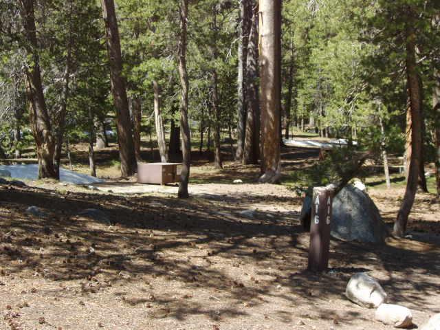 Tuoulumne Meadows Campground site a16