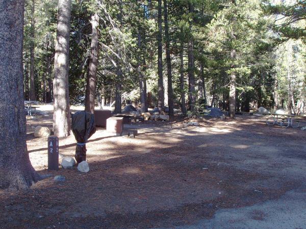 Tuoulumne Meadows Campground site a2
